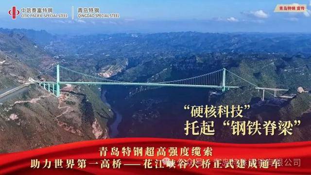 青(qīng)岛特钢绿色钢铁铸就世界(jiè)之巅 花江峡穀(gǔ)大桥正式通车