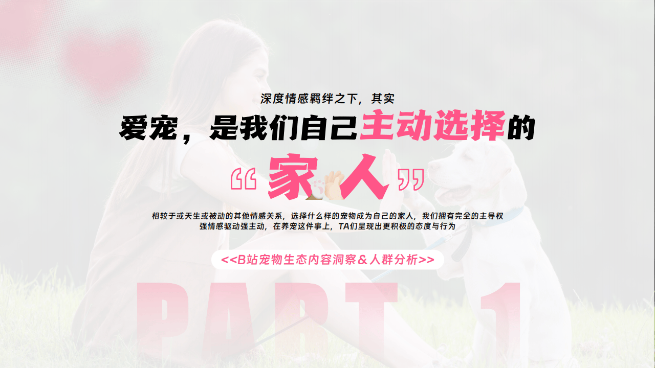 哔哩哔哩运营：哔哩哔哩2025年宠物行业营销通案