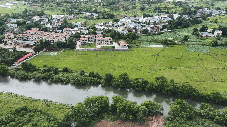 翰墨稻艺联手腾讯：让LOL英雄“扎根”瑞金老区，绘就助农新图景